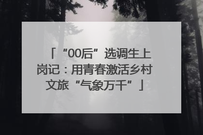 “00后”选调生上岗记：用青春激活乡村文旅“气象万千”