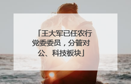 王大军已任农行党委委员，分管对公、科技板块