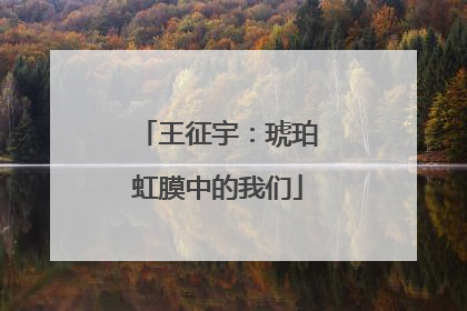 王征宇：琥珀虹膜中的我们
