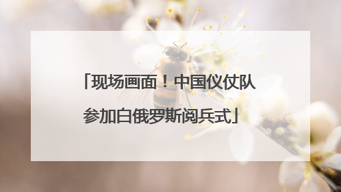 现场画面！中国仪仗队参加白俄罗斯阅兵式