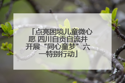 点亮困境儿童微心愿 四川自贡自流井开展“同心童梦”六一特别行动