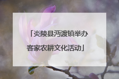 炎陵县沔渡镇举办客家农耕文化活动