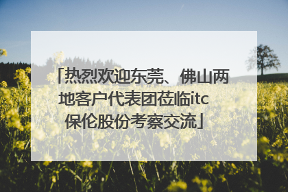 热烈欢迎东莞、佛山两地客户代表团莅临itc保伦股份考察交流