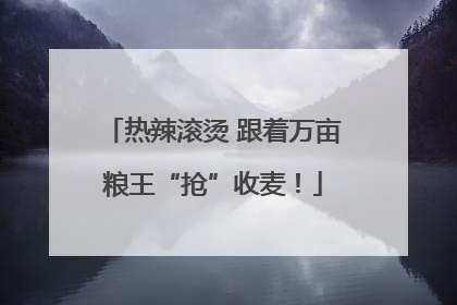 热辣滚烫 跟着万亩粮王“抢”收麦！
