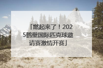 燃起来了！2025鹤壁国际匹克球邀请赛激情开赛