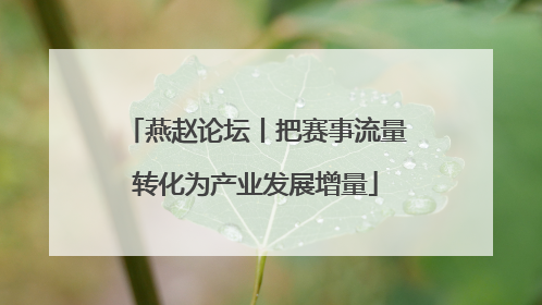 燕赵论坛丨把赛事流量转化为产业发展增量