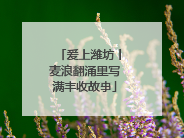 爱上潍坊丨麦浪翻涌里写满丰收故事