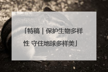 特稿｜保护生物多样性 守住地球多样美