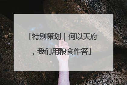 特别策划｜何以天府，我们用粮食作答