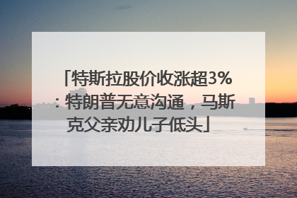 特斯拉股价收涨超3%：特朗普无意沟通，马斯克父亲劝儿子低头