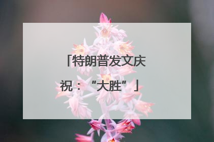 特朗普发文庆祝：“大胜”