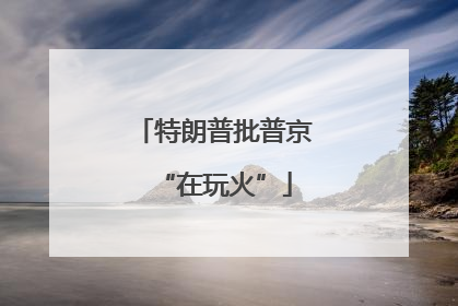 特朗普批普京“在玩火”