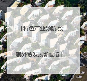 特色产业领航 绘就外贸发展新画卷