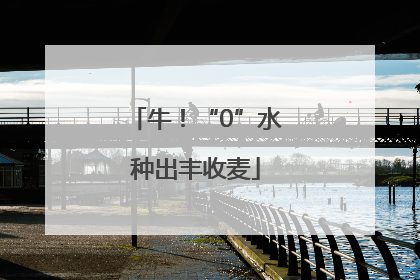 牛！“0”水种出丰收麦