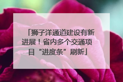 狮子洋通道建设有新进展！省内多个交通项目“进度条”刷新