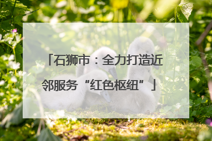 石狮市：全力打造近邻服务“红色枢纽”