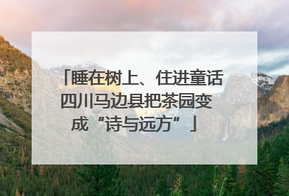 睡在树上、住进童话 四川马边县把茶园变成“诗与远方”