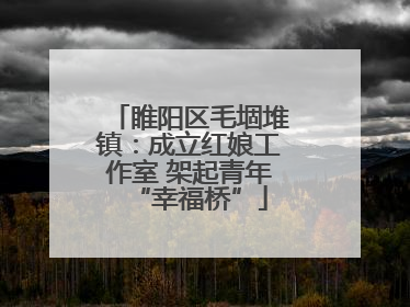 睢阳区毛堌堆镇：成立红娘工作室 架起青年“幸福桥”