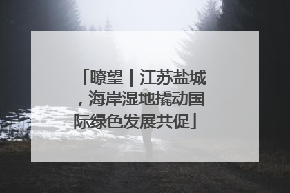 瞭望｜江苏盐城，海岸湿地撬动国际绿色发展共促