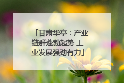 甘肃华亭：产业链群蓬勃起势 工业发展强劲有力
