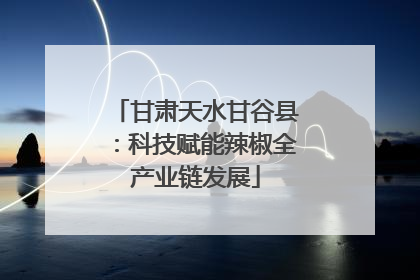 甘肃天水甘谷县：科技赋能辣椒全产业链发展
