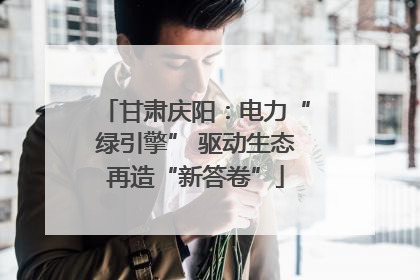 甘肃庆阳：电力“绿引擎” 驱动生态再造“新答卷”