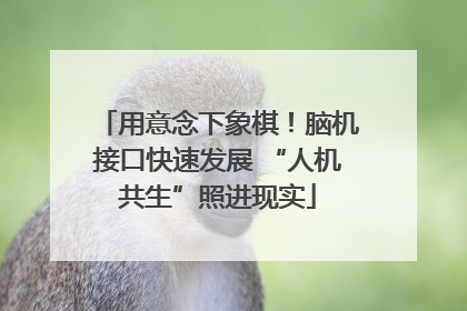 用意念下象棋！脑机接口快速发展 “人机共生”照进现实