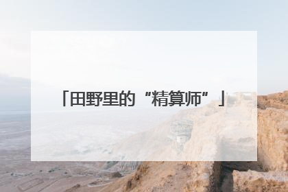 田野里的“精算师”
