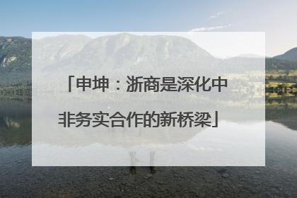 申坤：浙商是深化中非务实合作的新桥梁
