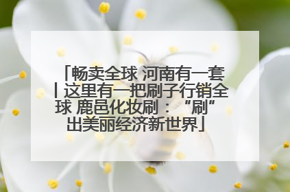 畅卖全球 河南有一套丨这里有一把刷子行销全球 鹿邑化妆刷：“刷”出美丽经济新世界