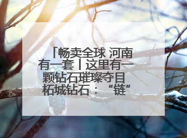 畅卖全球 河南有一套丨这里有一颗钻石璀璨夺目 柘城钻石：“链”就发展新动力