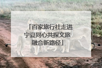 百家旅行社走进宁夏同心共探文旅融合新路径