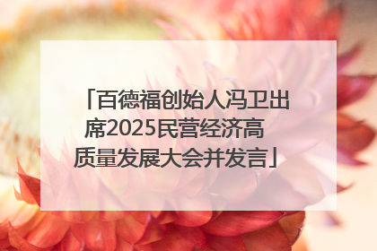 百德福创始人冯卫出席2025民营经济高质量发展大会并发言