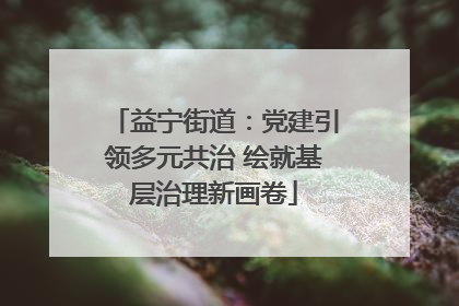 益宁街道：党建引领多元共治 绘就基层治理新画卷