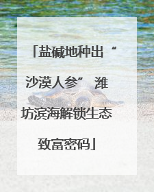 盐碱地种出“沙漠人参” 潍坊滨海解锁生态致富密码