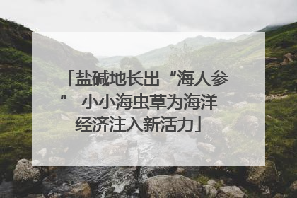盐碱地长出“海人参” 小小海虫草为海洋经济注入新活力