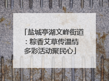 盐城亭湖文峰街道：粽香艾草传温情 多彩活动聚民心