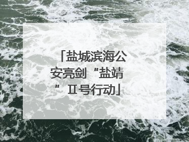 盐城滨海公安亮剑“盐靖”Ⅱ号行动