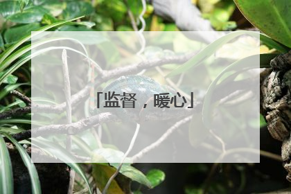 监督，暖心