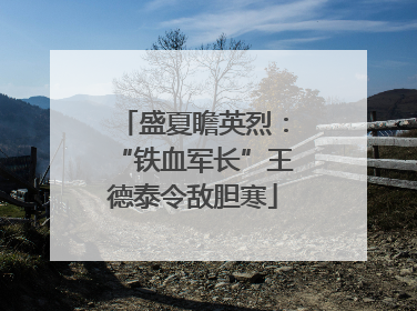 盛夏瞻英烈：“铁血军长”王德泰令敌胆寒