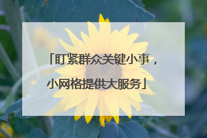 盯紧群众关键小事，小网格提供大服务