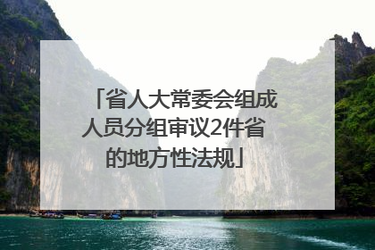 省人大常委会组成人员分组审议2件省的地方性法规