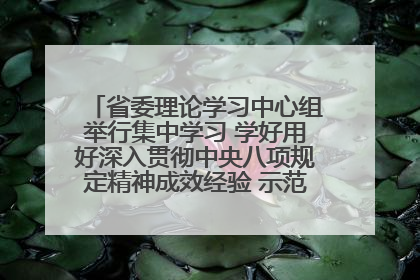 省委理论学习中心组举行集中学习 学好用好深入贯彻中央八项规定精神成效经验 示范带头持续推动全省学习教育走深走实