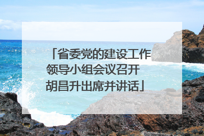 省委党的建设工作领导小组会议召开 胡昌升出席并讲话