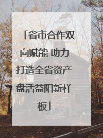 省市合作双向赋能 助力打造全省资产盘活益阳新样板