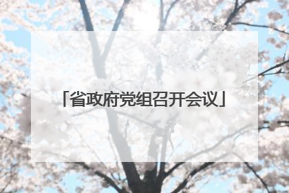 省政府党组召开会议