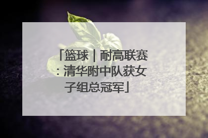 篮球｜耐高联赛：清华附中队获女子组总冠军