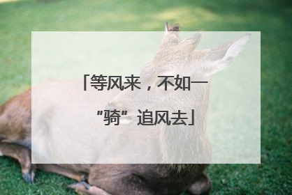等风来，不如一“骑”追风去