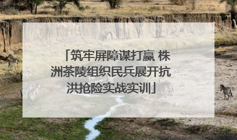 筑牢屏障谋打赢 株洲茶陵组织民兵展开抗洪抢险实战实训