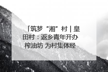 筑梦“湘”村｜皇田村：返乡青年开办榨油坊 为村集体经济“加油”